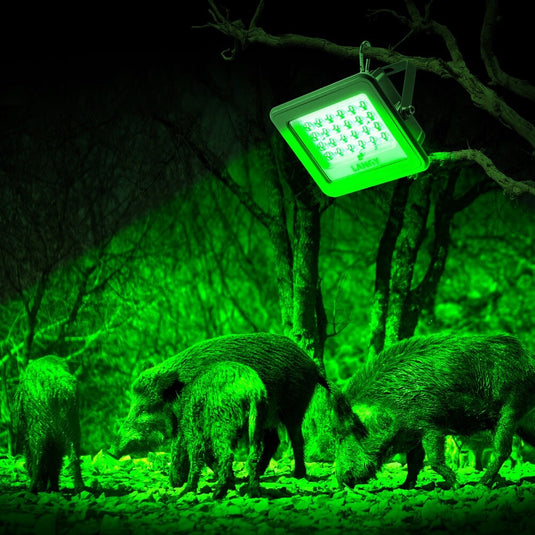 Solar Green Floodlight for Night Hunting