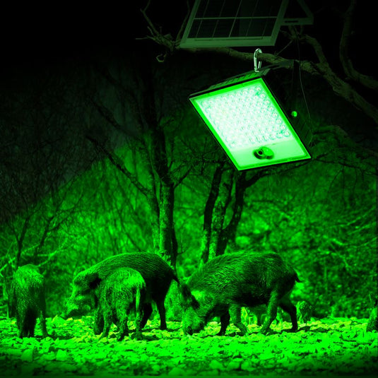 Solar Green Floodlight for Night Hunting -10,000 lumens