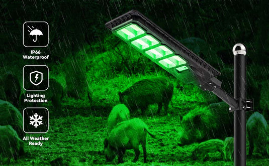 Why do hunters use green lights for hunting?