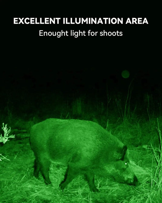 LANGY Hog Hunting Lights, Solar Green Light for Hunting Hogs Deers Langy Solar Lighting